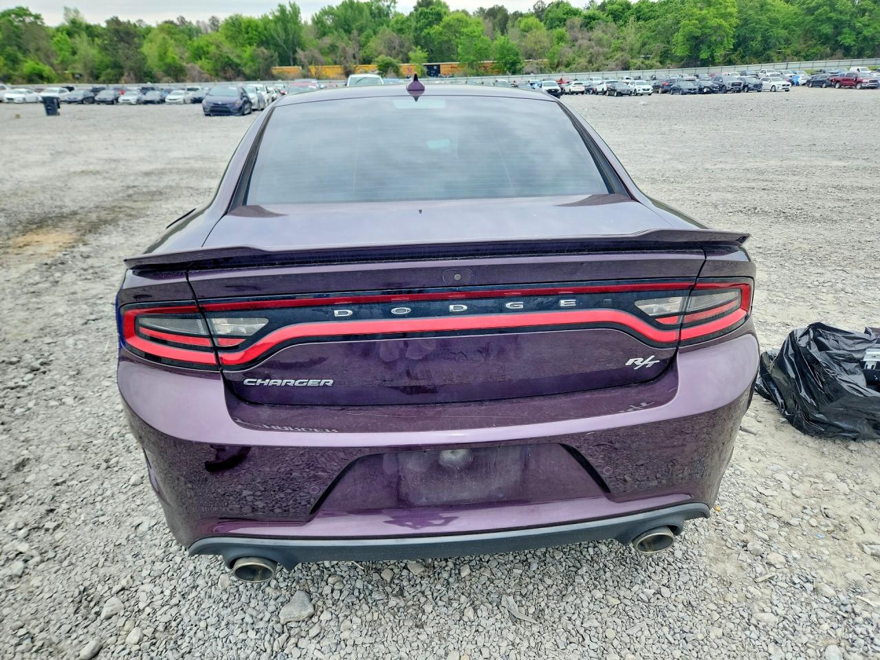 2020 DODGE CHARGER R photo 6