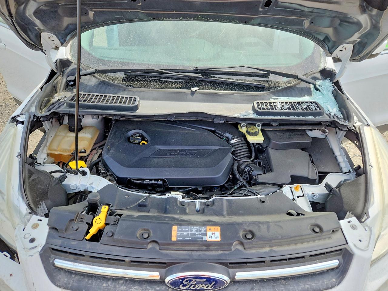 2014 FORD ESCAPE SE photo 23