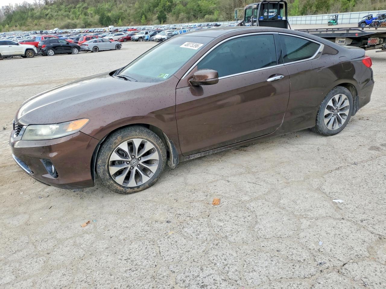2013 HONDA ACCORD
