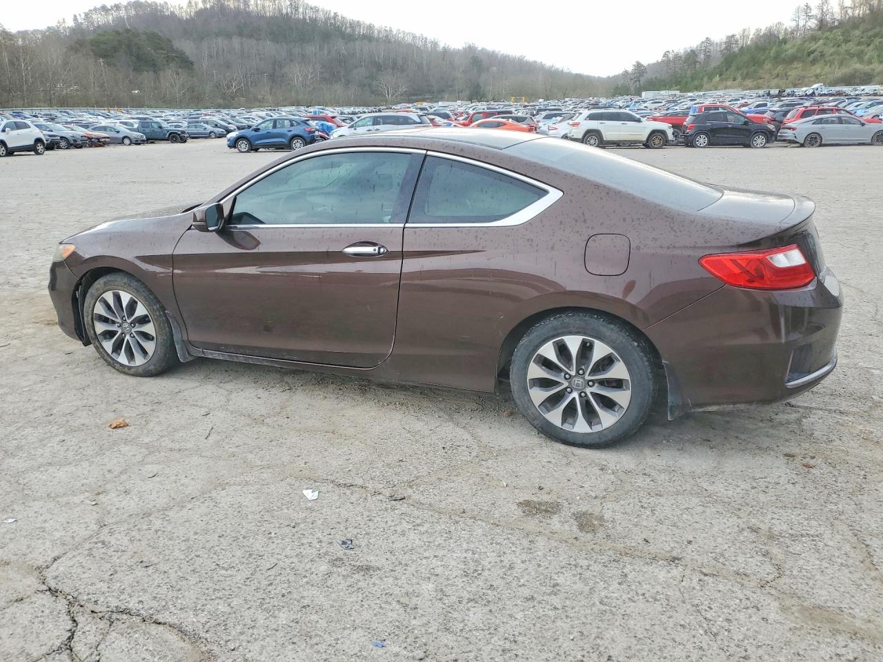 2013 HONDA ACCORD EX photo 3