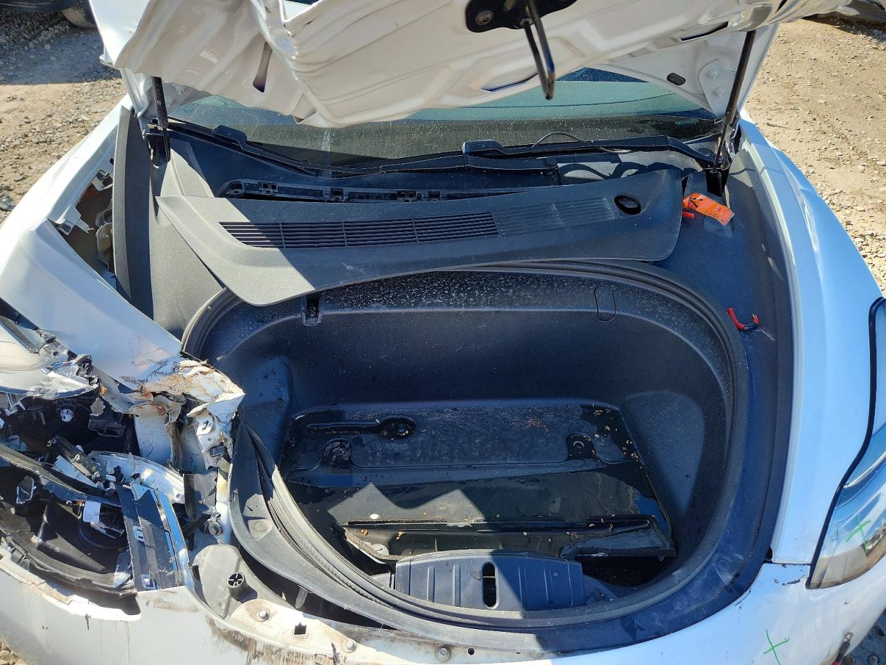 2019 TESLA MODEL 3 photo 21