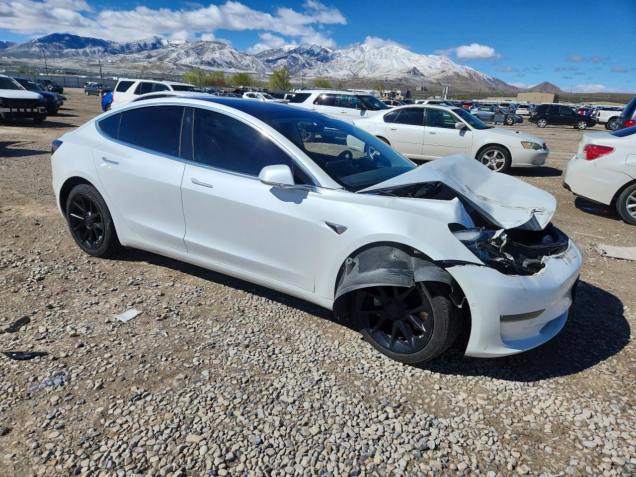 2019 TESLA MODEL 3 photo 7