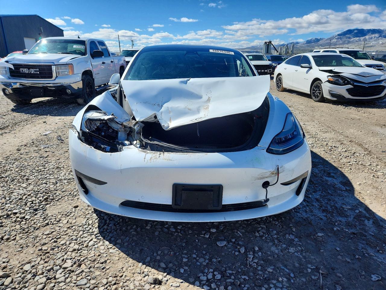 2019 TESLA MODEL 3 photo 9