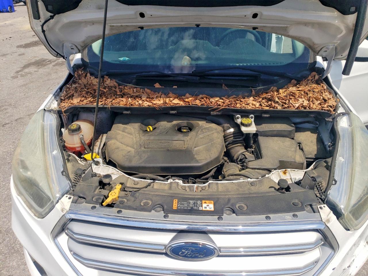 2017 FORD ESCAPE SE photo 34