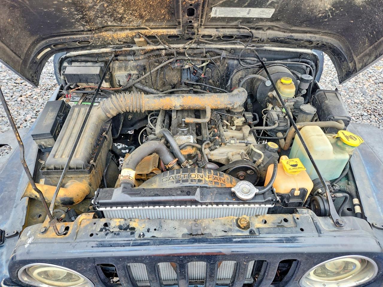 1998 JEEP WRANGLER / TJ SPORT photo 11