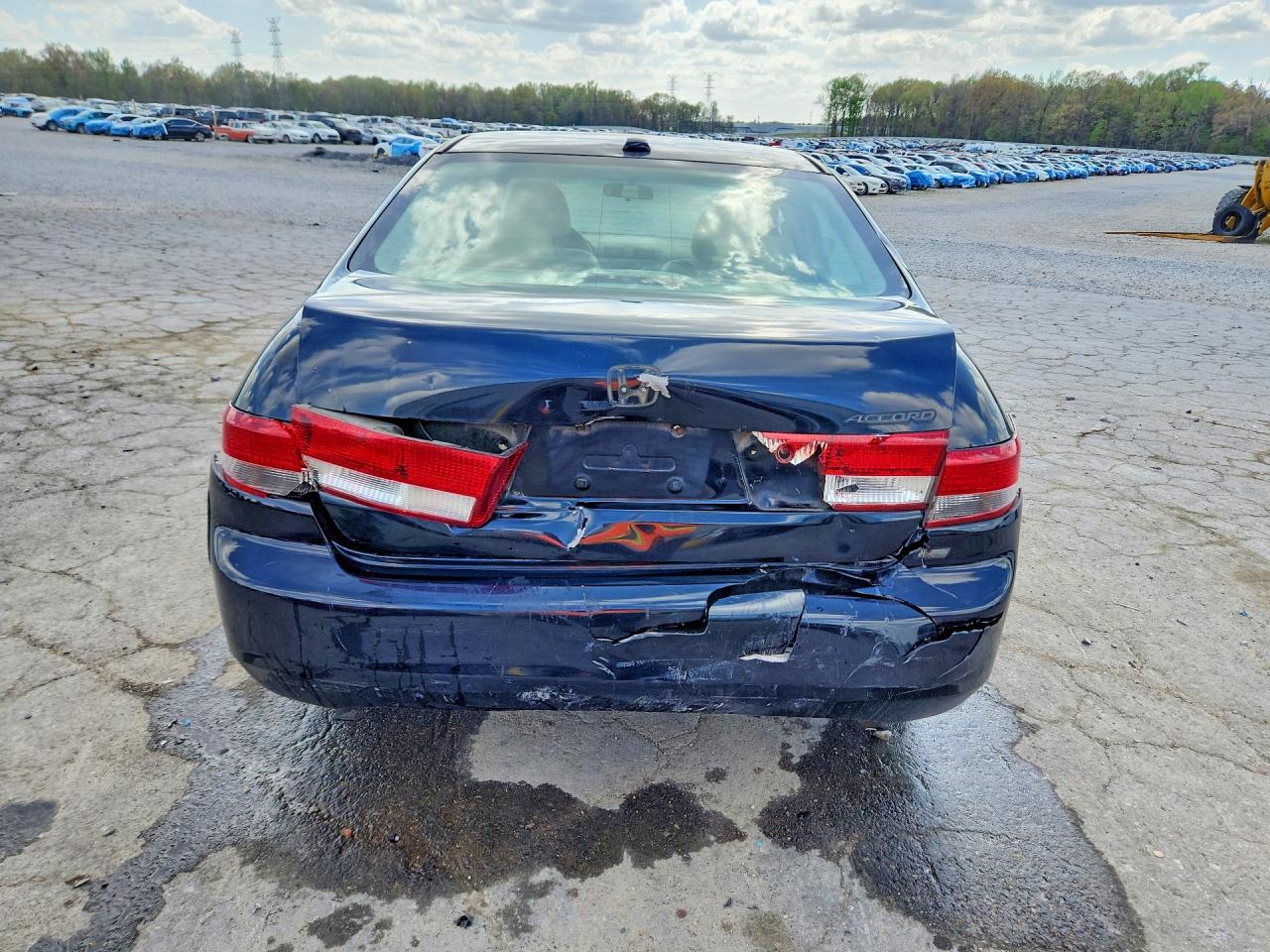 2004 HONDA ACCORD EX photo 6