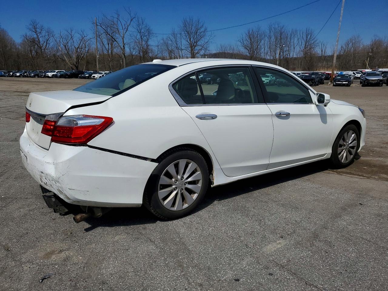 2013 HONDA ACCORD photo 5