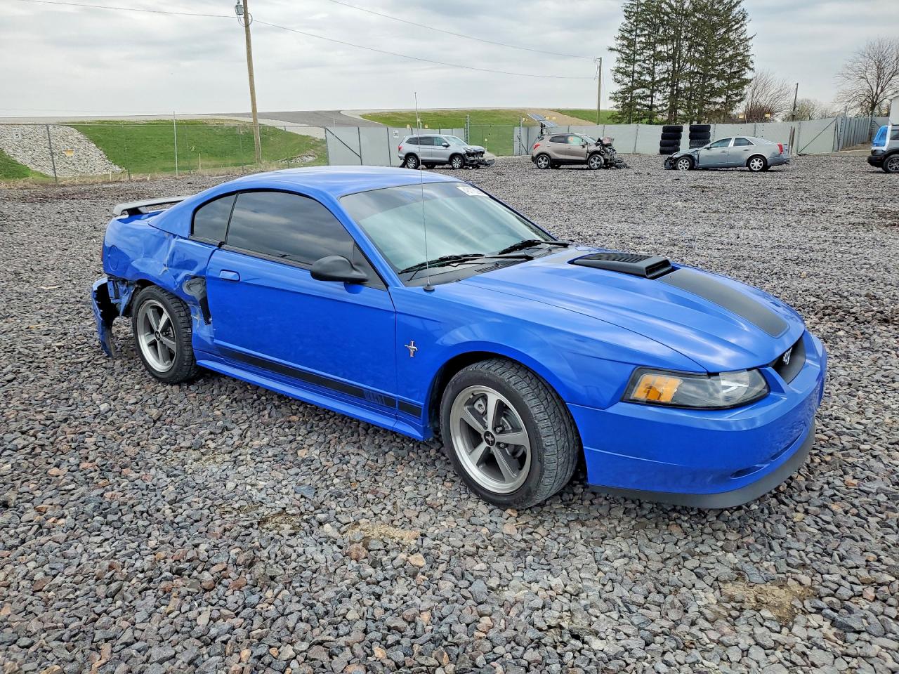 2003 FORD MUSTANG MACH I photo 7
