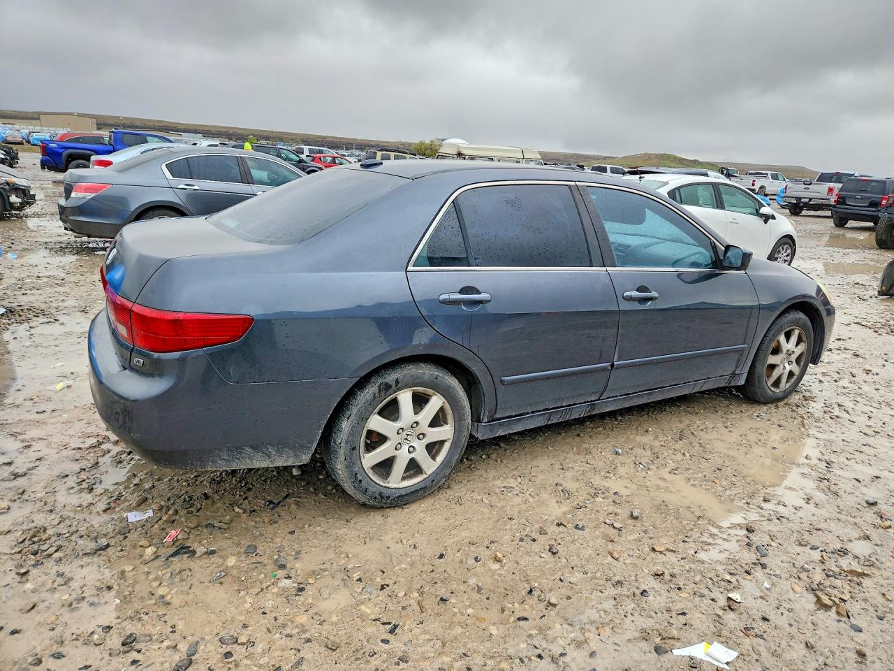 2005 HONDA ACCORD EX photo 5