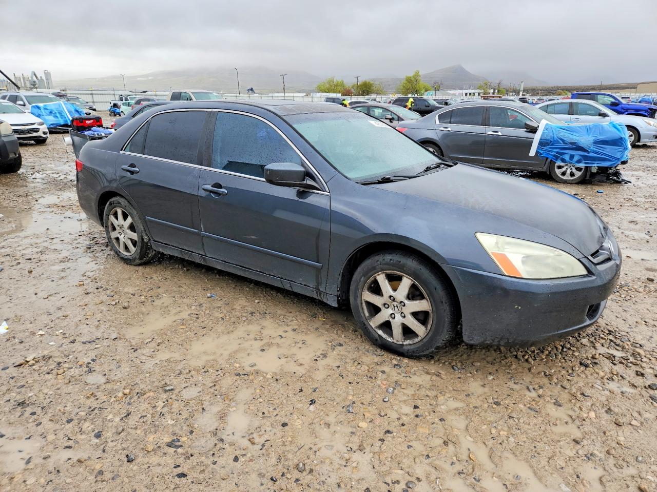 2005 HONDA ACCORD EX photo 7
