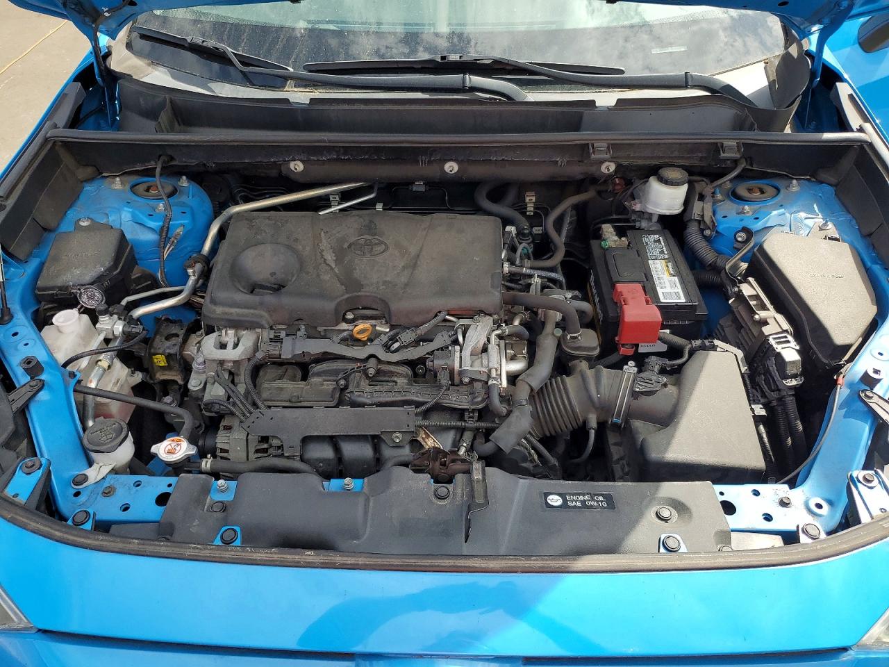2019 TOYOTA RAV4 XLE photo 12