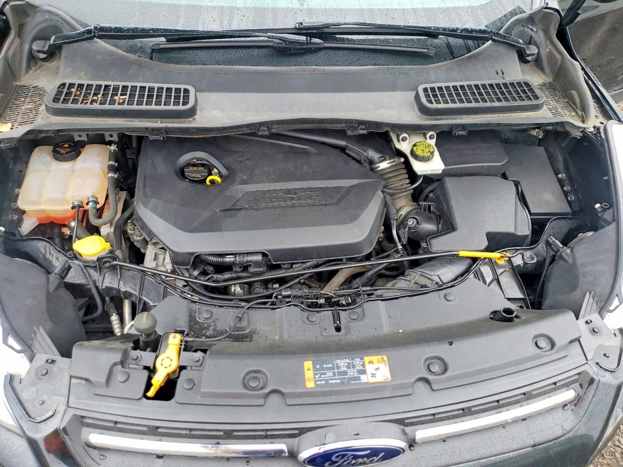 2014 FORD ESCAPE SE photo 12