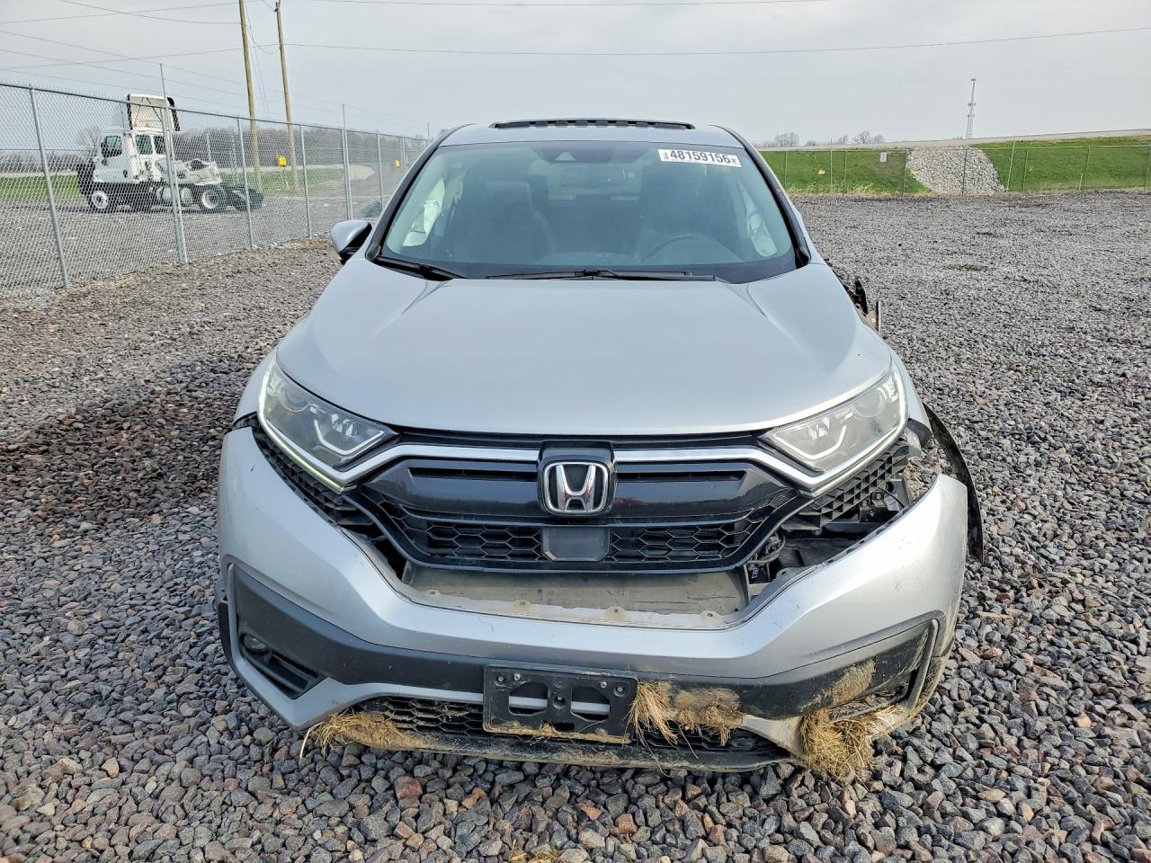 2020 HONDA CR-V EXL photo 5