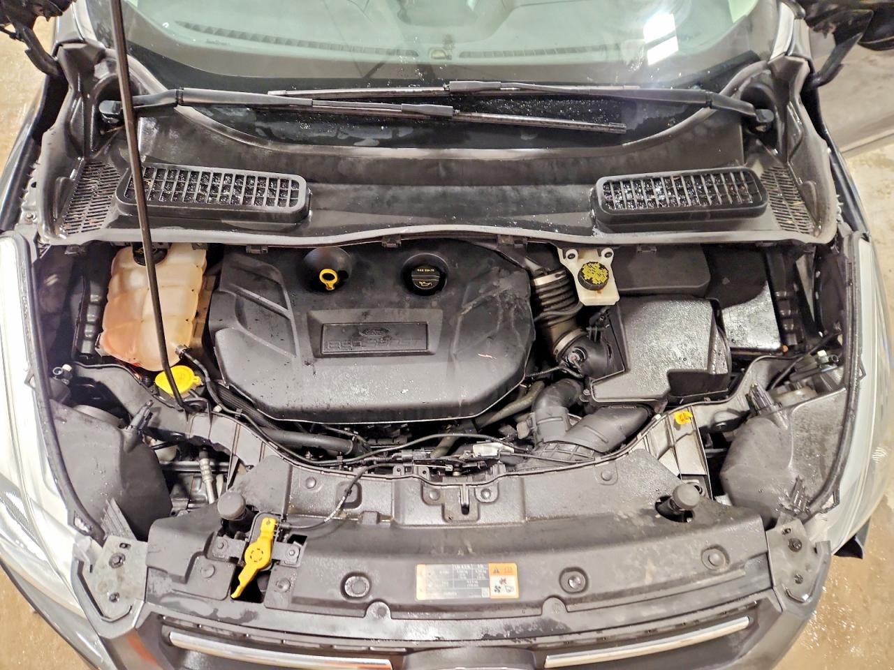 2016 FORD ESCAPE SE photo 23
