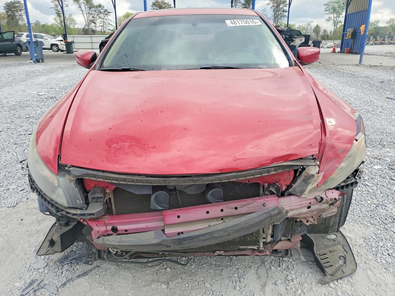 2010 HONDA ACCORD EXL photo 9