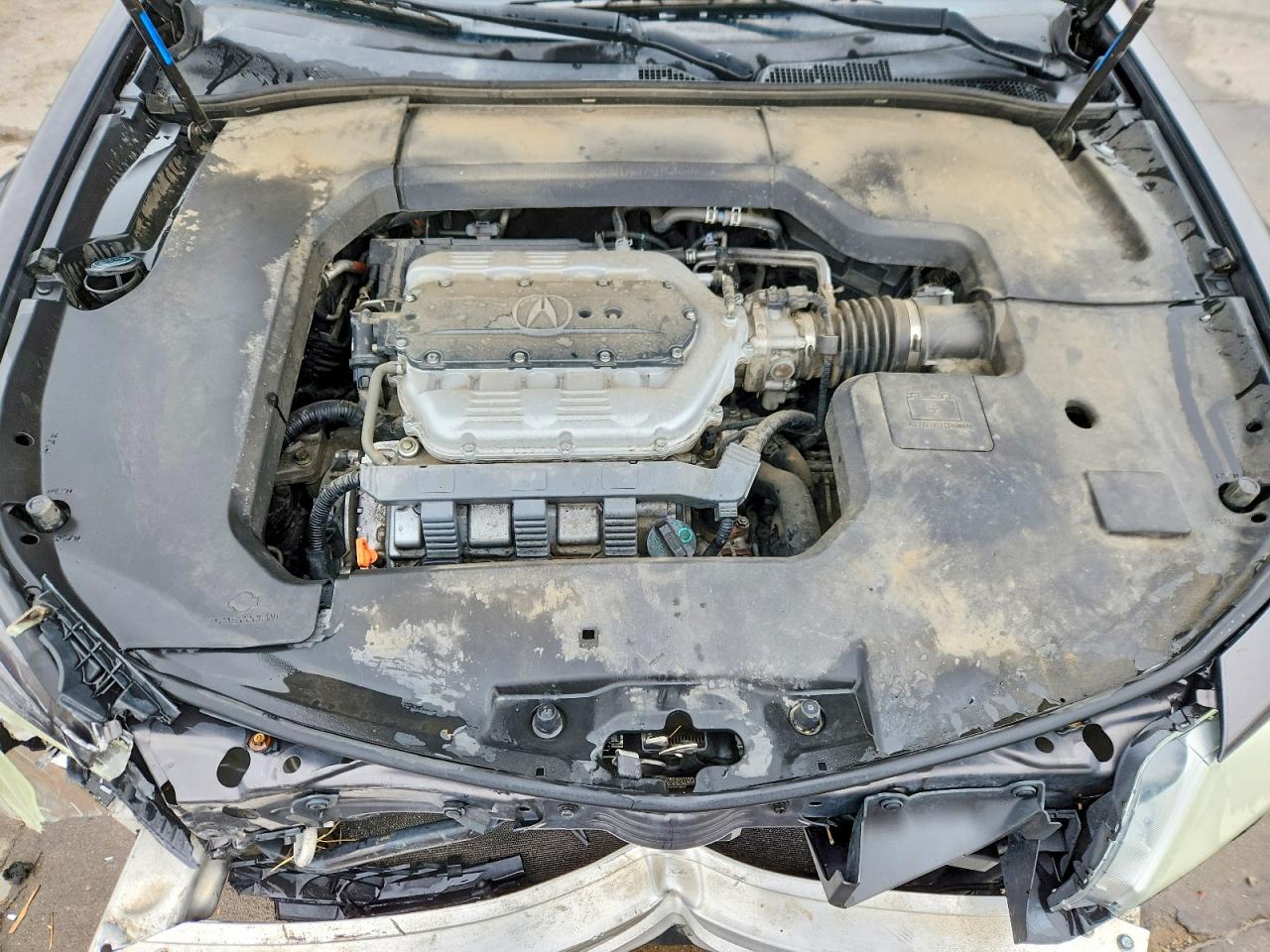 2010 ACURA TL photo 31