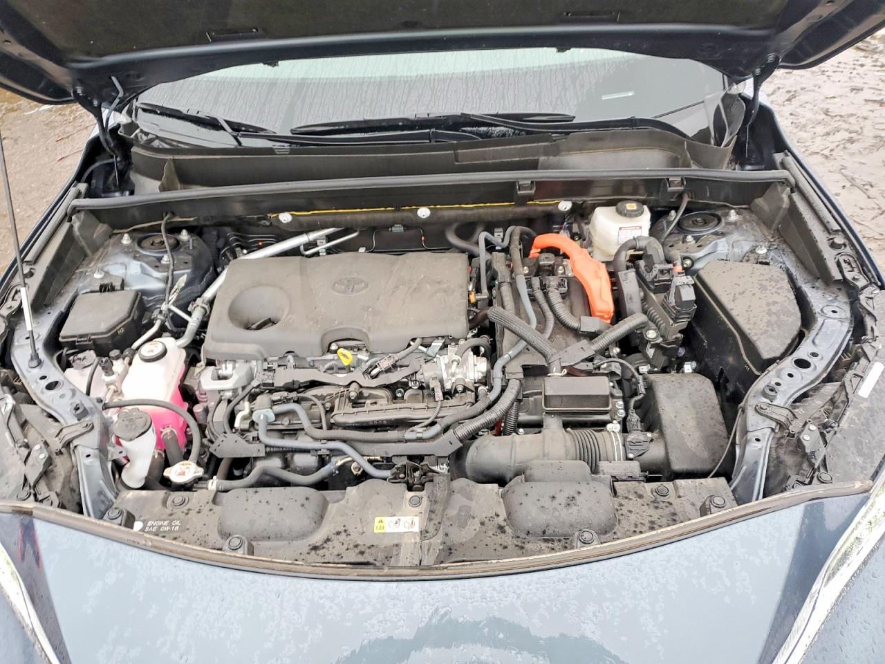 2023 TOYOTA VENZA XLE photo 23