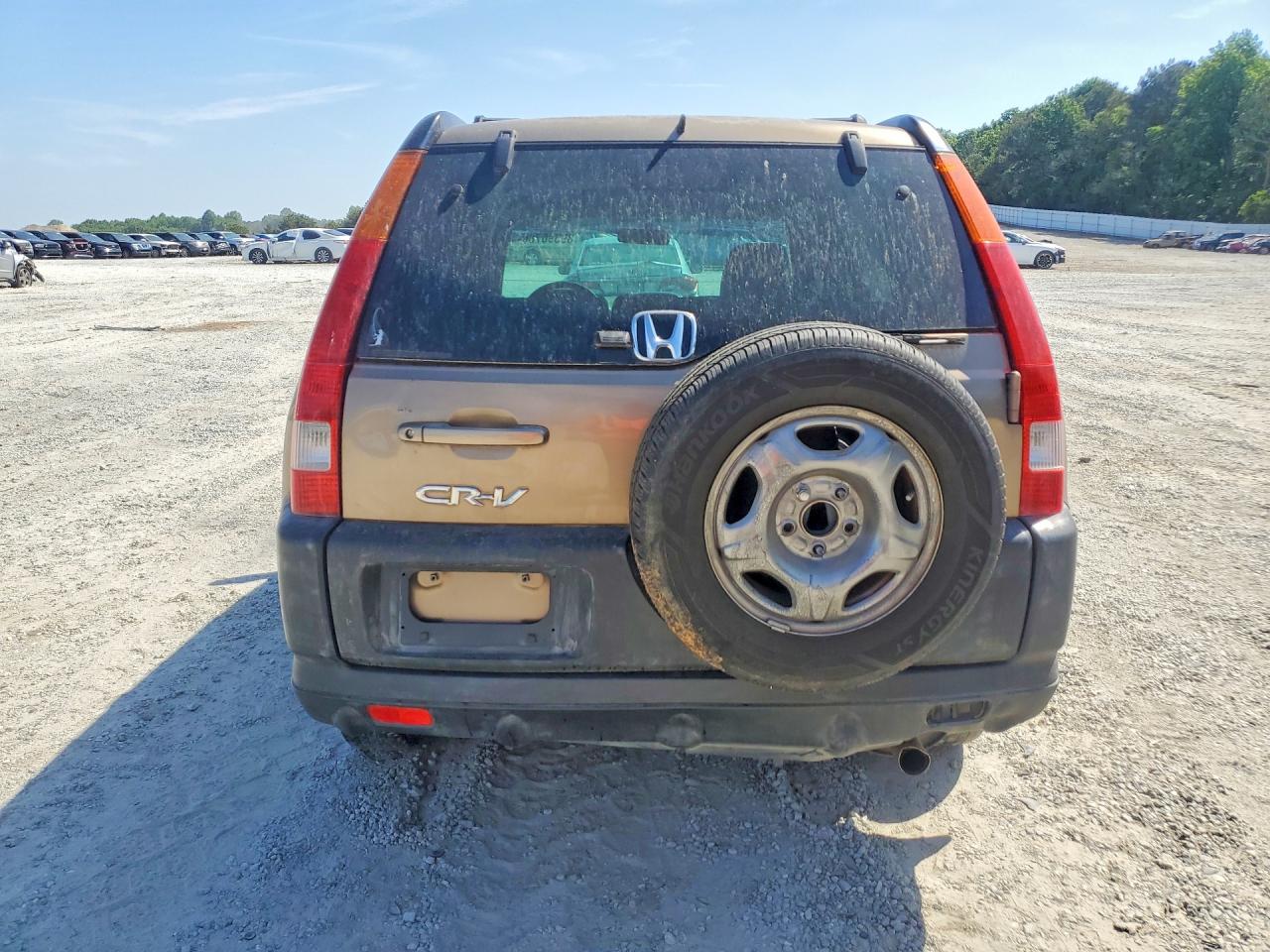 2003 HONDA CR-V EX photo 6