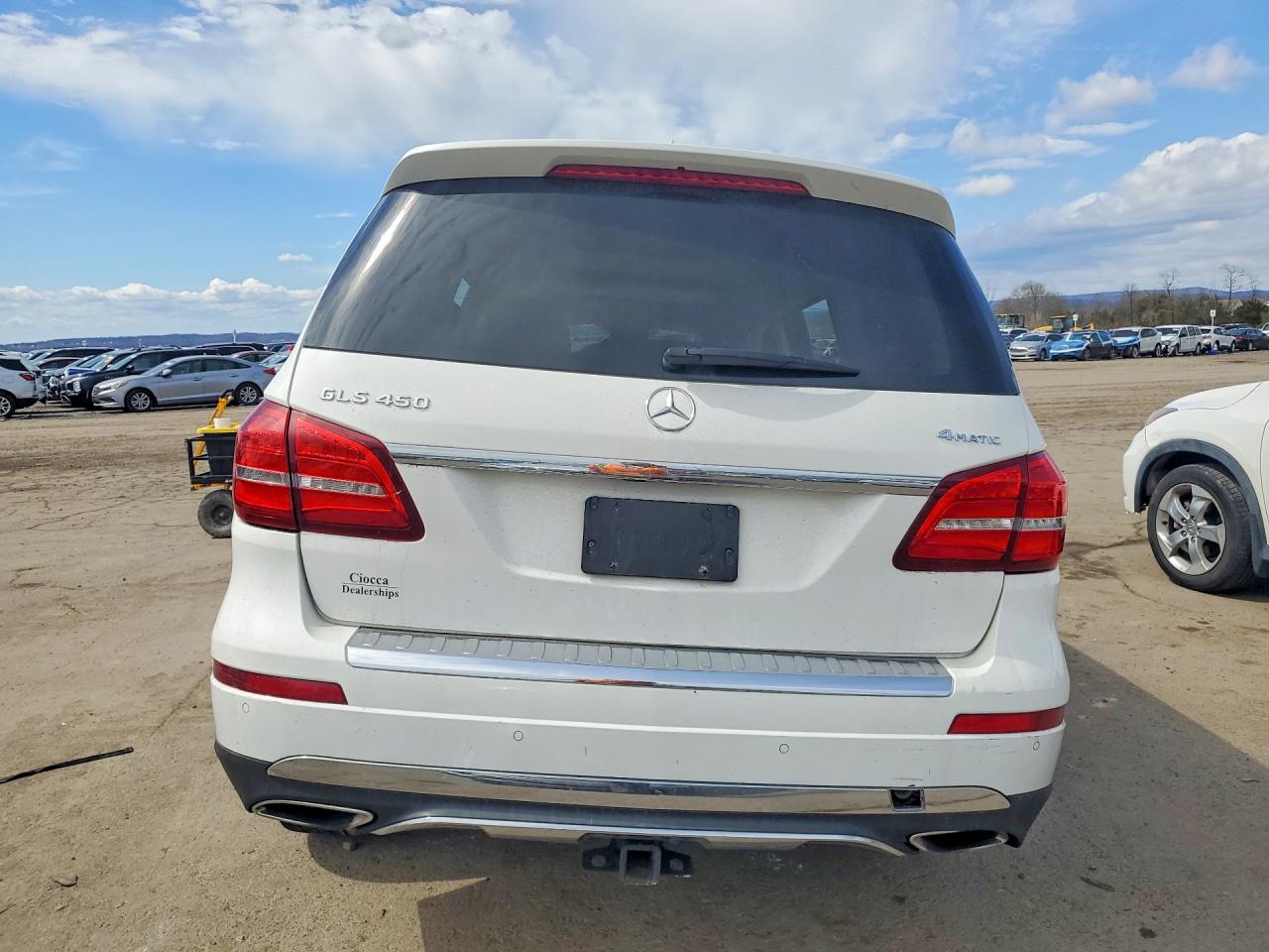 2019 MERCEDES-BENZ GLS 450 4MATIC photo 16