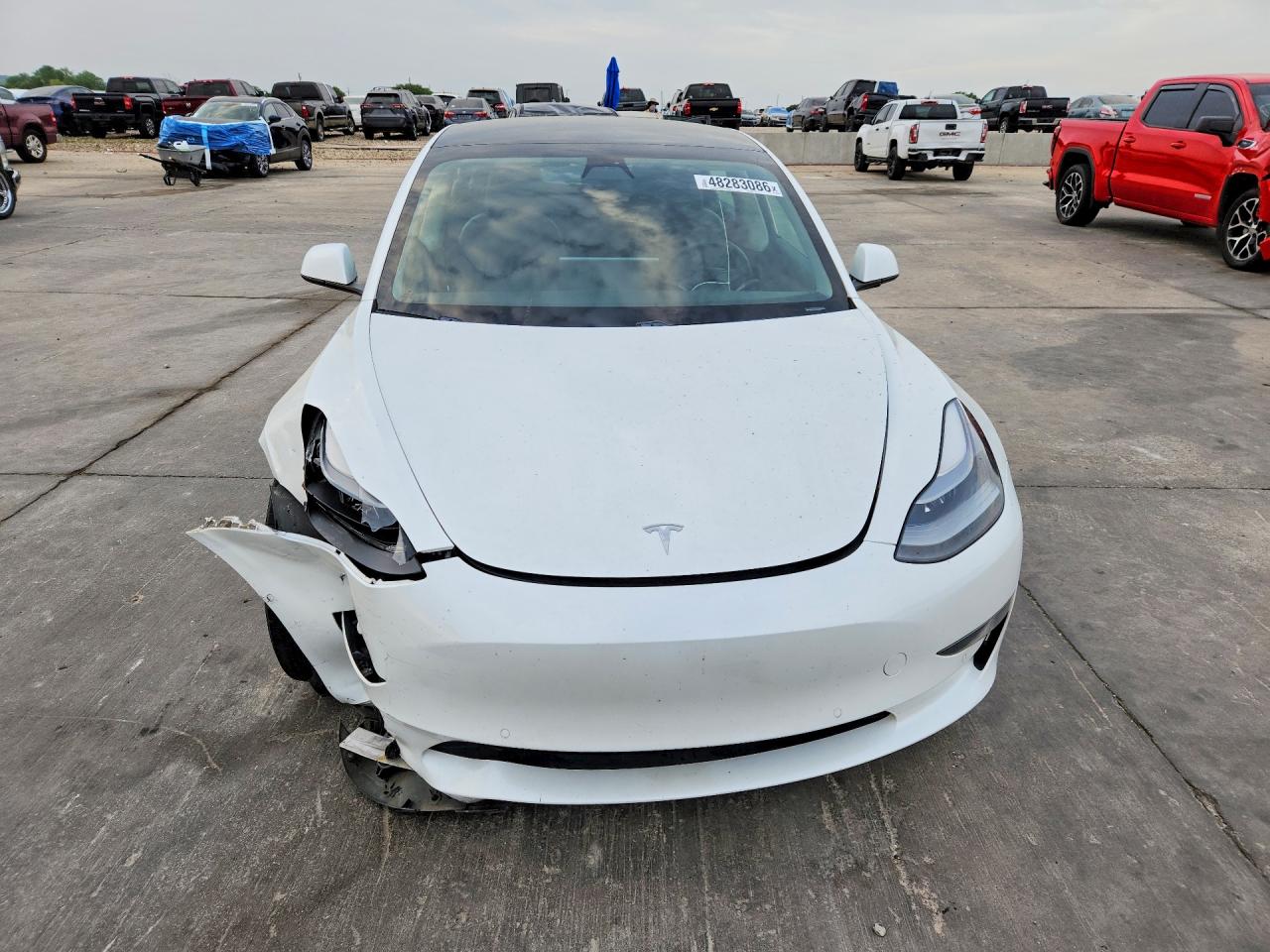 2021 TESLA MODEL 3 photo 13