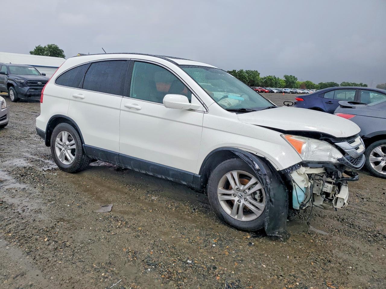 2010 HONDA CR-V EXL photo 7