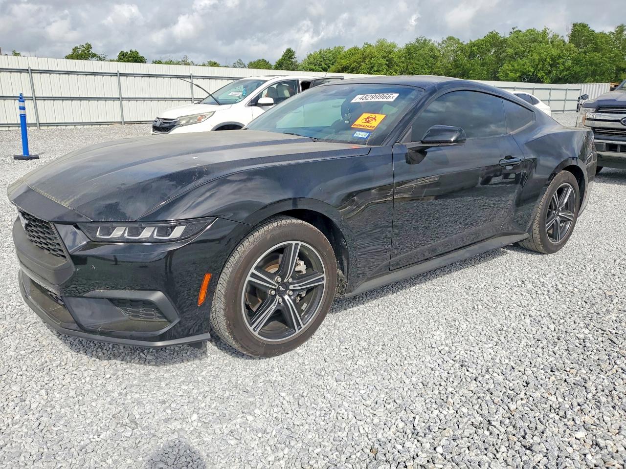 2025 FORD MUSTANG