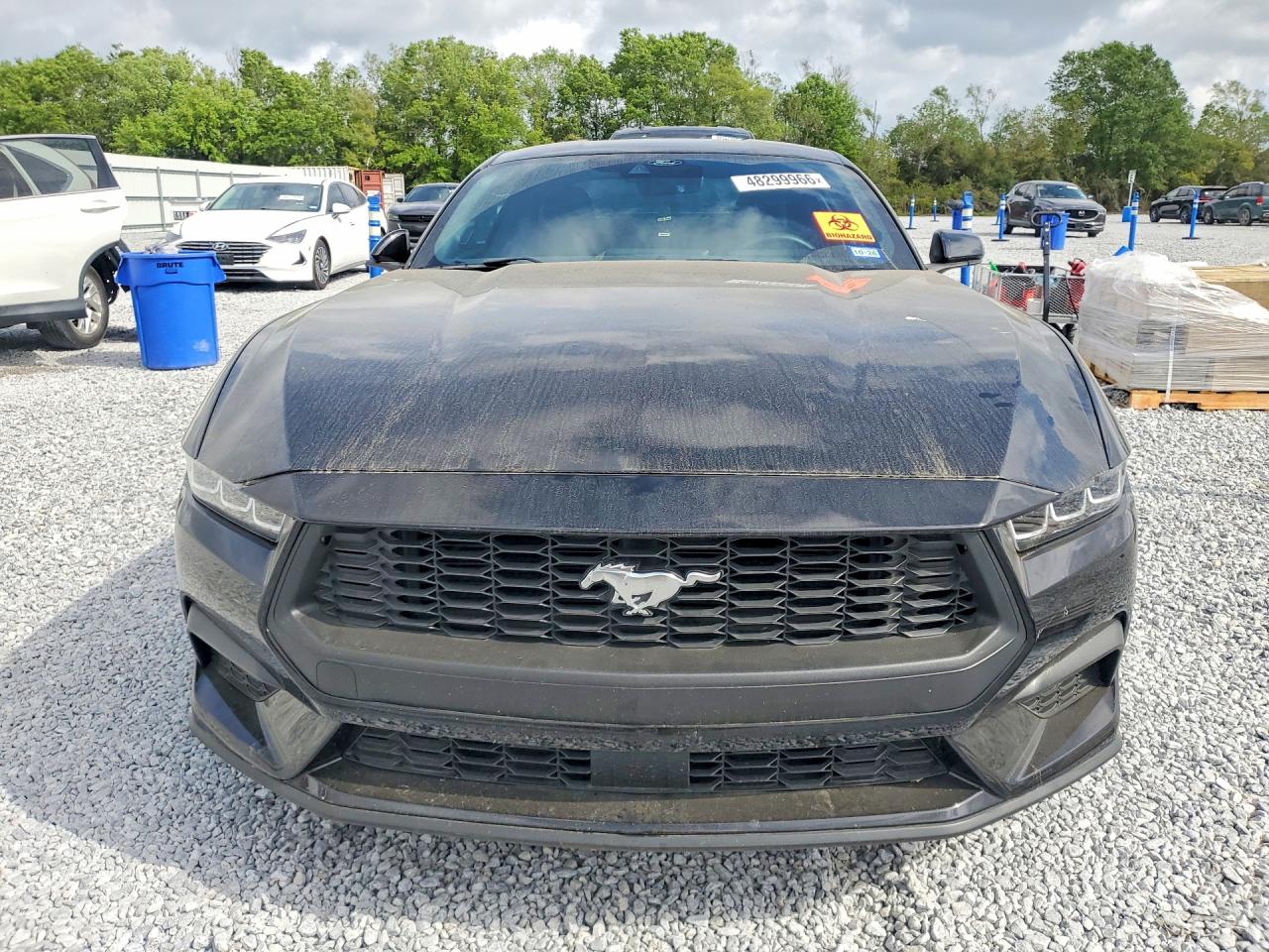 2025 FORD MUSTANG photo 13