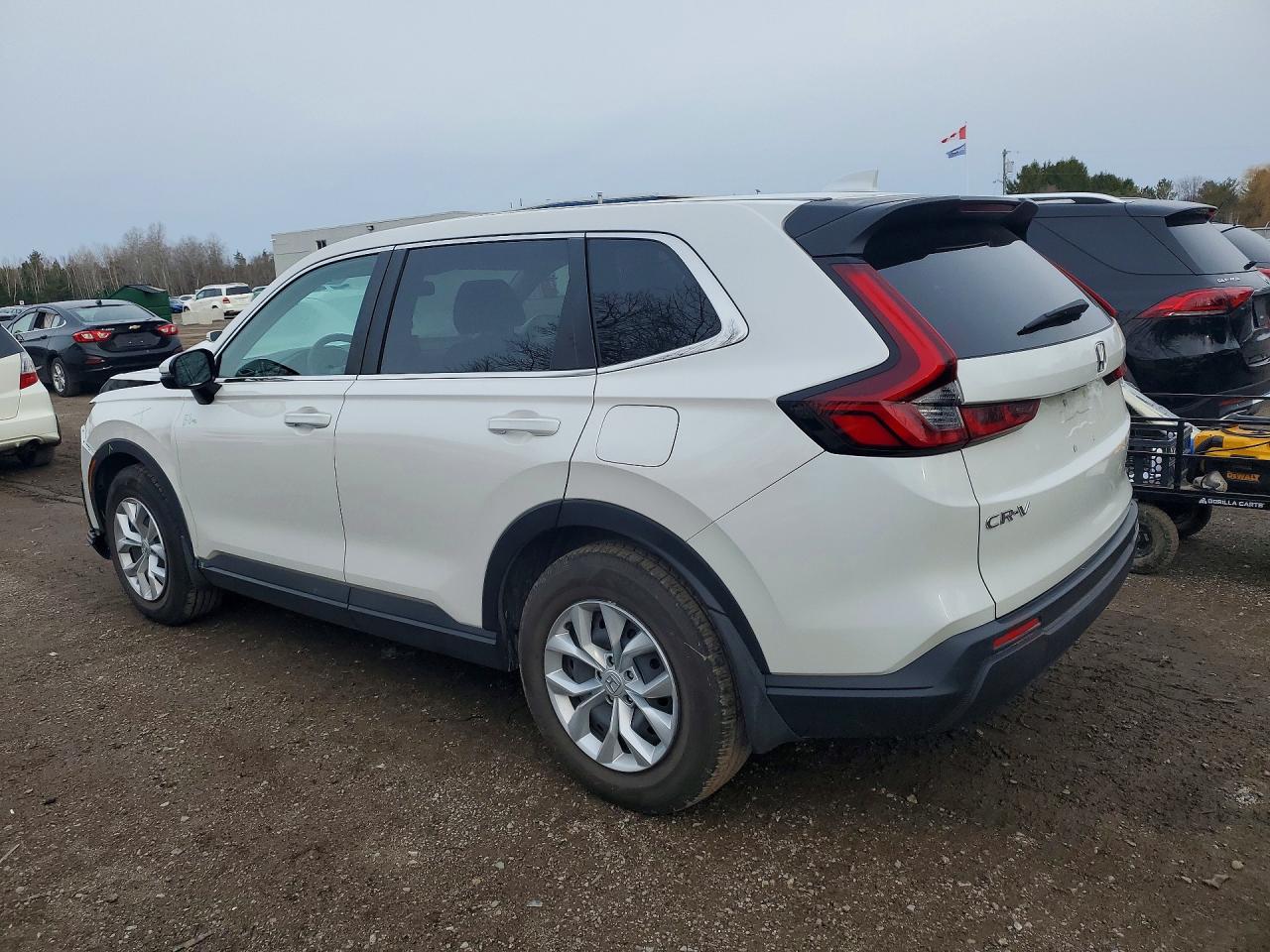 2024 HONDA CR-V LX photo 3
