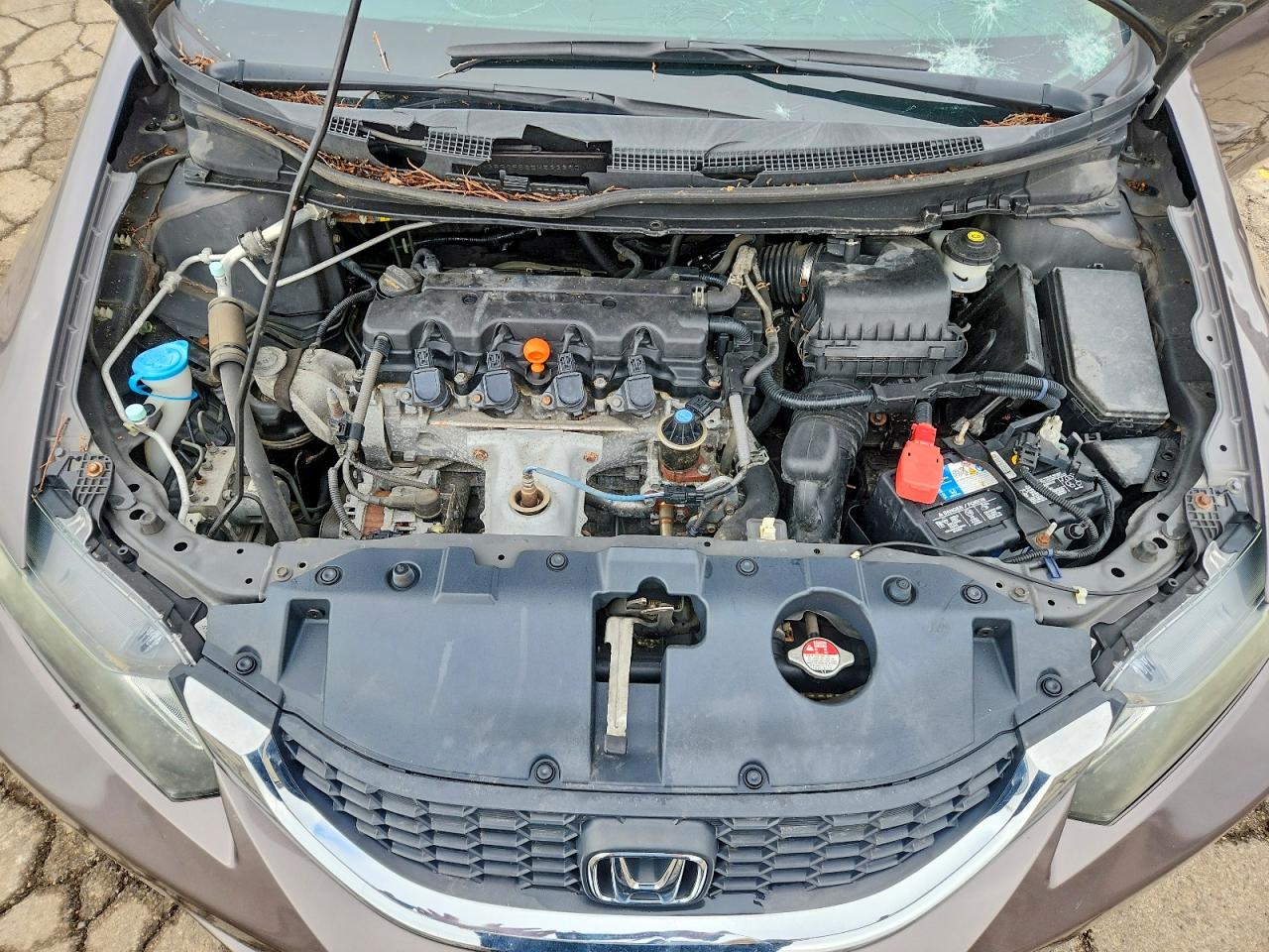 2014 HONDA CIVIC LX photo 11