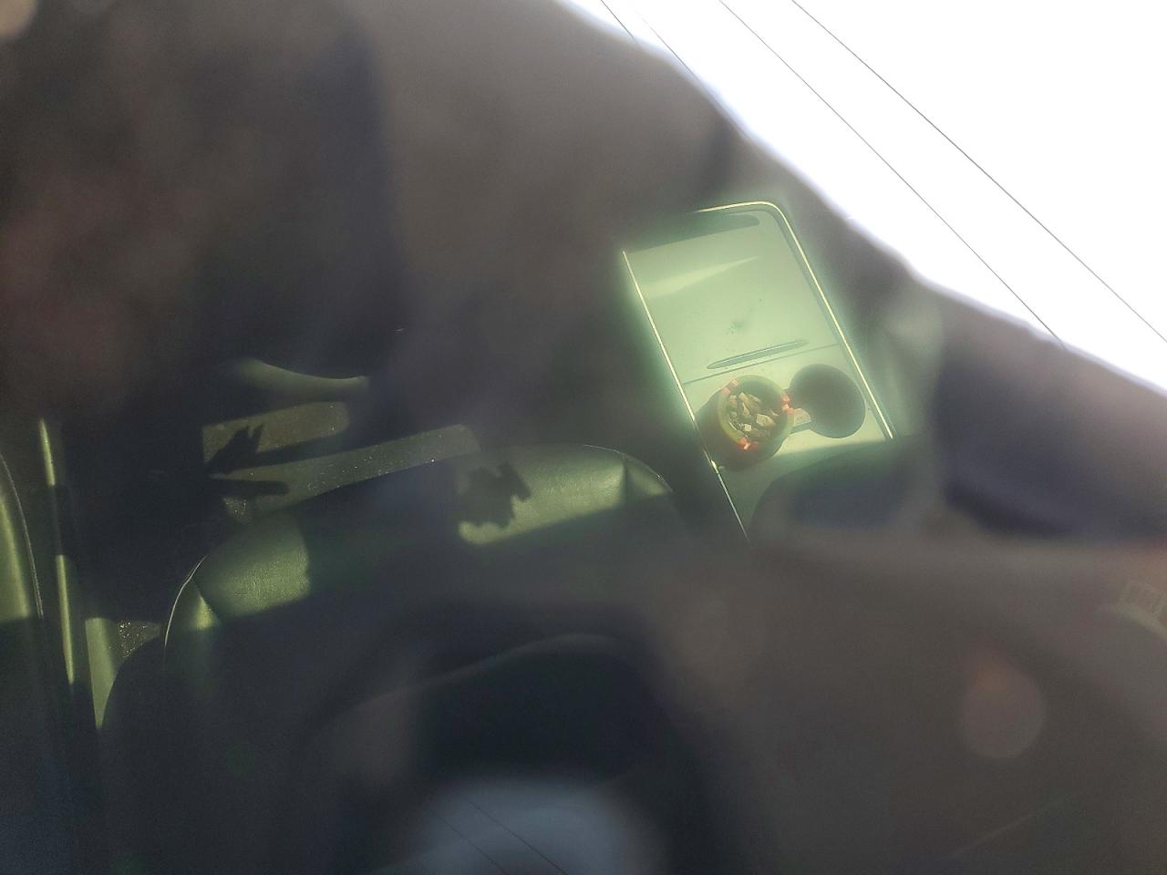 2022 TESLA MODEL 3 photo 15