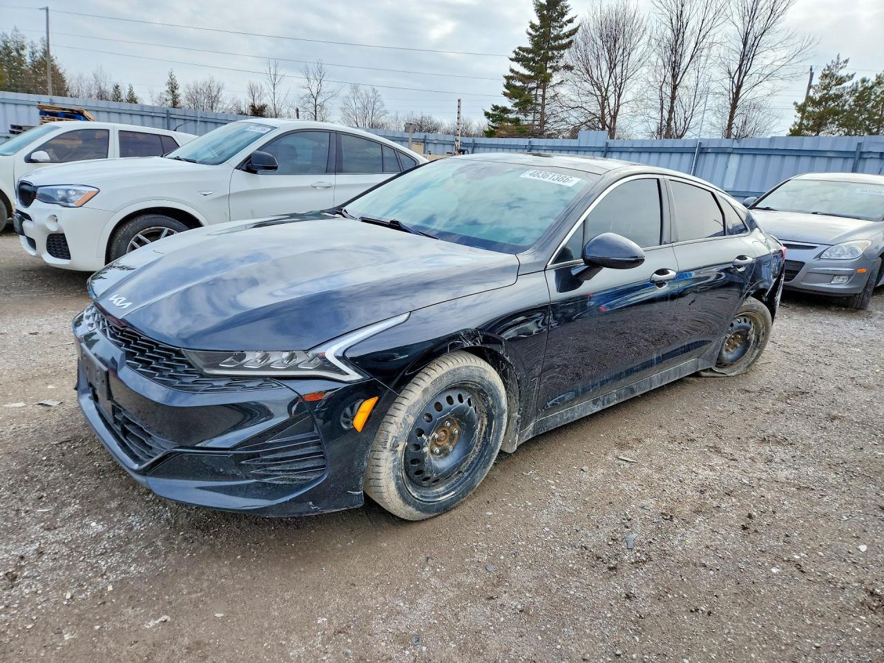 2023 KIA K5