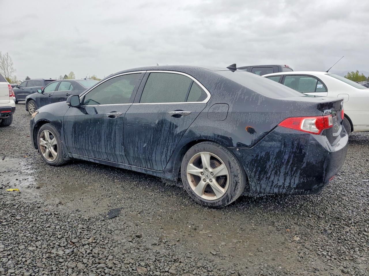 2009 ACURA TSX photo 3