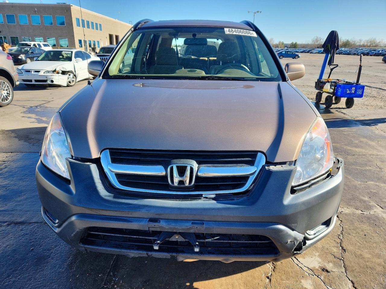 2004 HONDA CR-V EX photo 5
