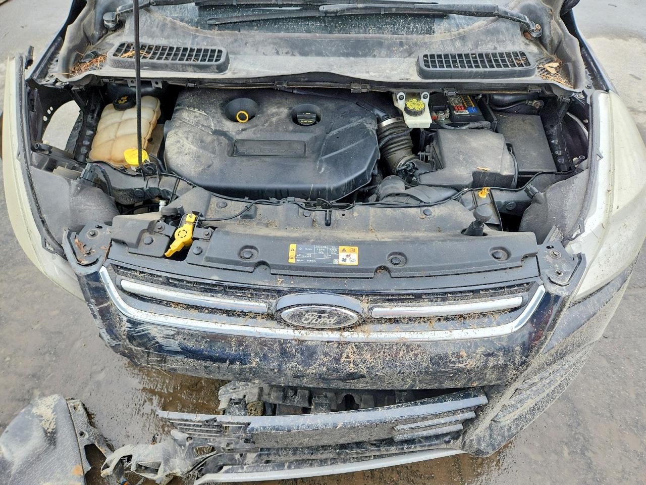 2014 FORD ESCAPE TITANIUM photo 23