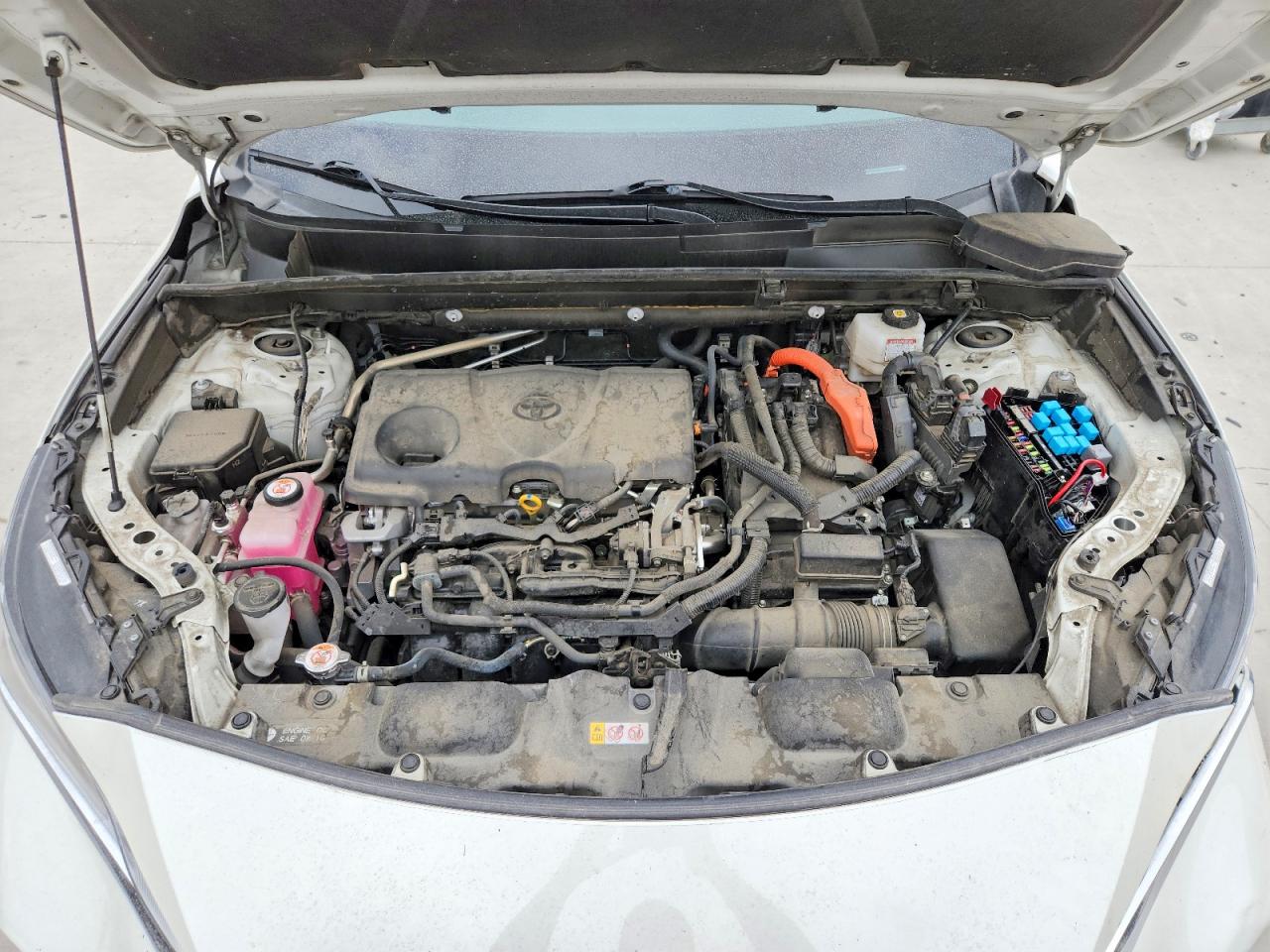 2021 TOYOTA VENZA XLE photo 23