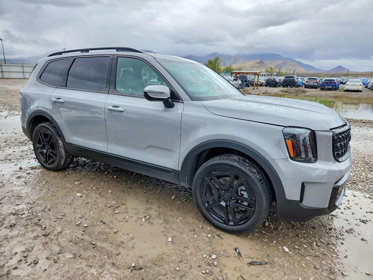 2025 KIA TELLURIDE SX X-LINE photo 7