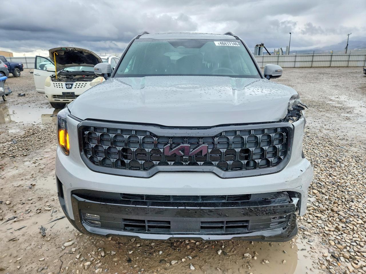2025 KIA TELLURIDE SX X-LINE photo 9
