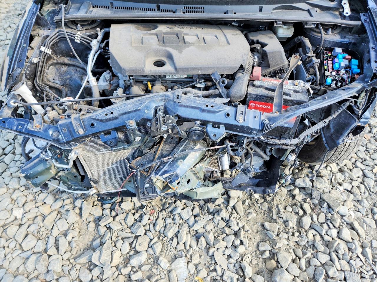 2019 TOYOTA COROLLA LE photo 11