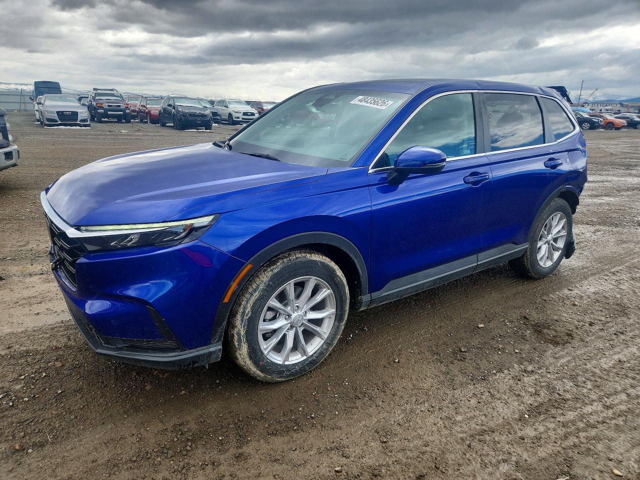 2025 HONDA CR-V