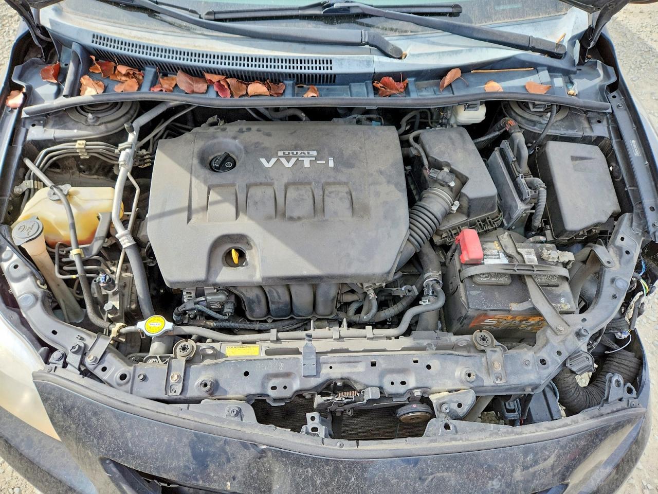 2010 TOYOTA COROLLA LE photo 31