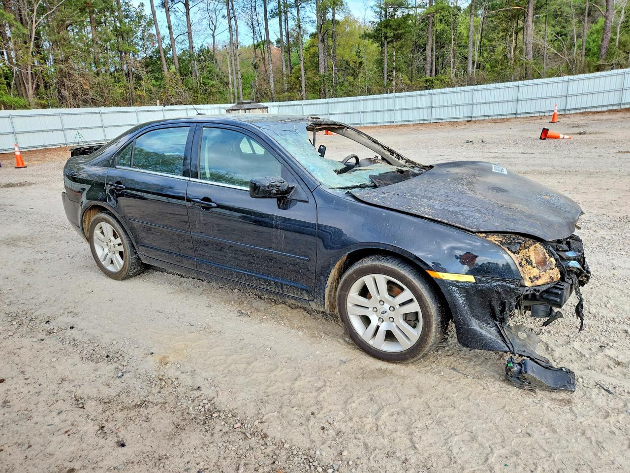 2009 FORD FUSION SEL photo 10