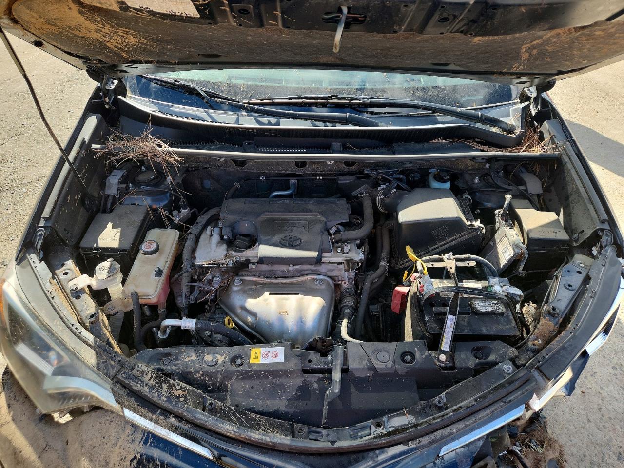 2018 TOYOTA RAV4 LE photo 21