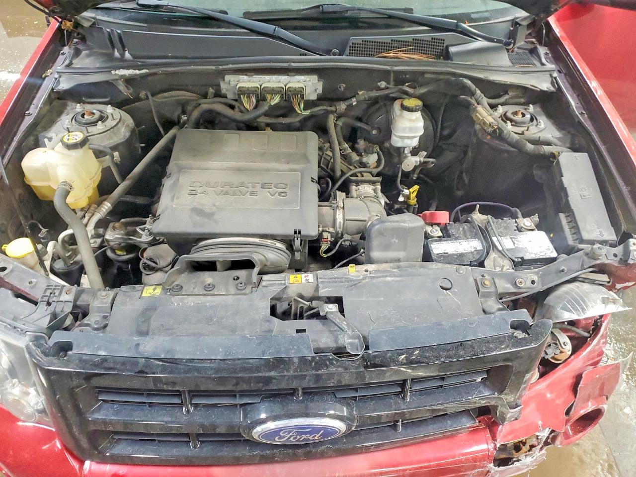 2010 FORD ESCAPE XLT photo 11