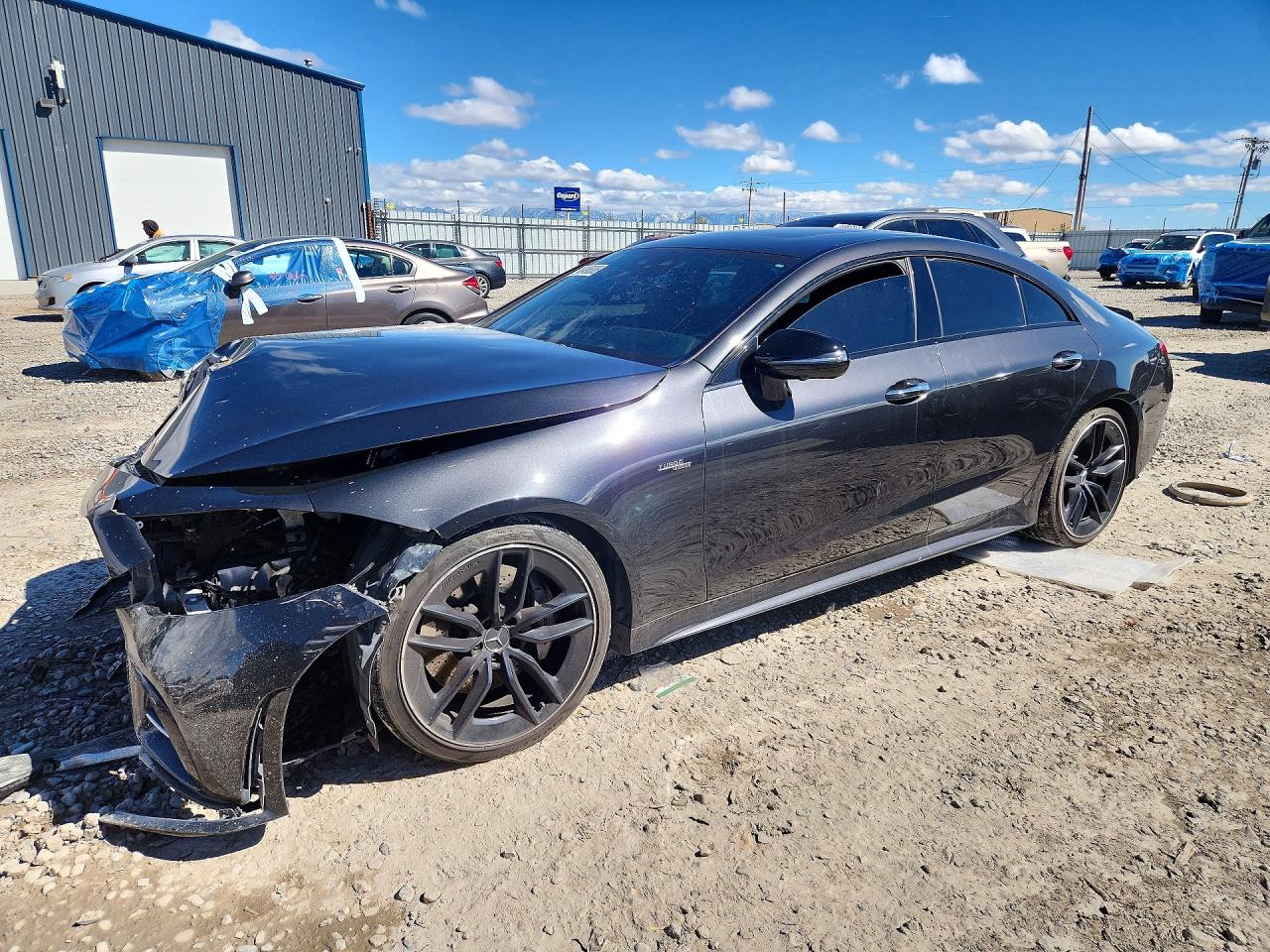 2019 MERCEDES-BENZ CLS