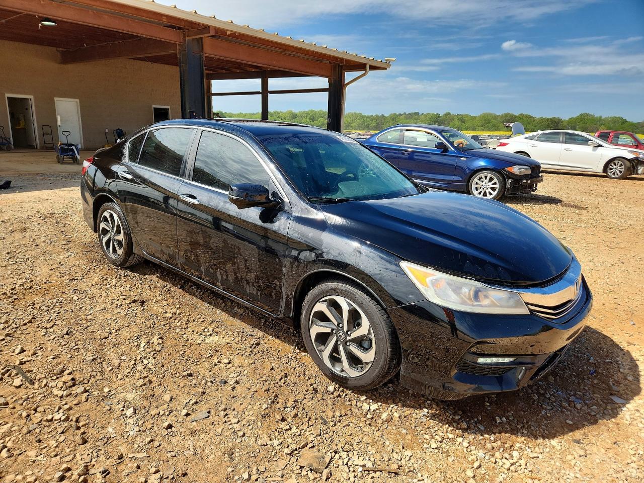 2016 HONDA ACCORD EX photo 7