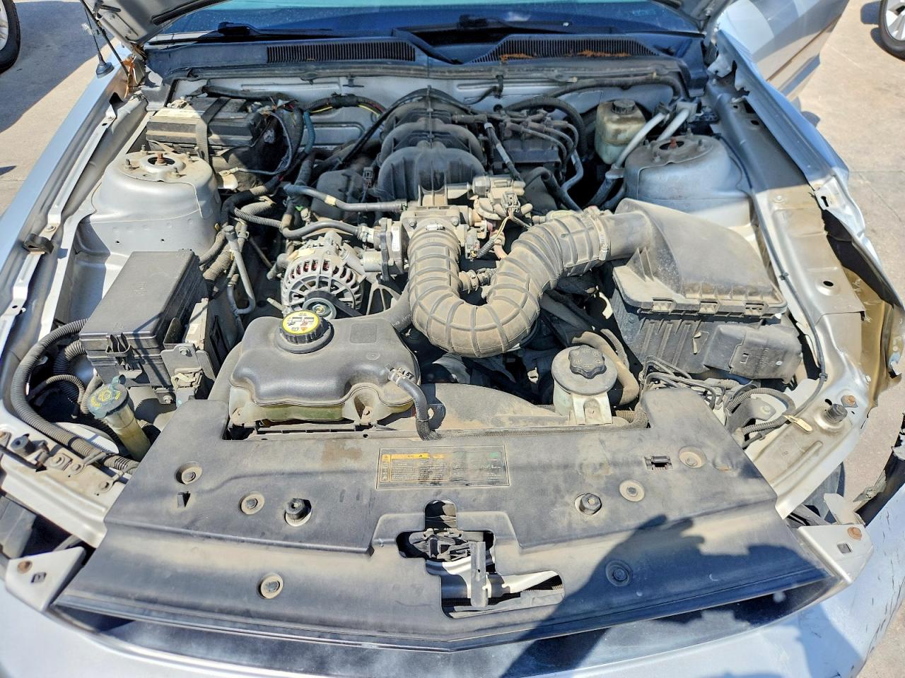 2008 FORD MUSTANG photo 11