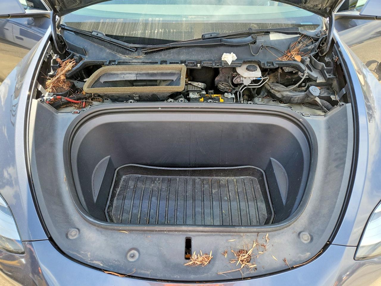 2021 TESLA MODEL Y photo 11