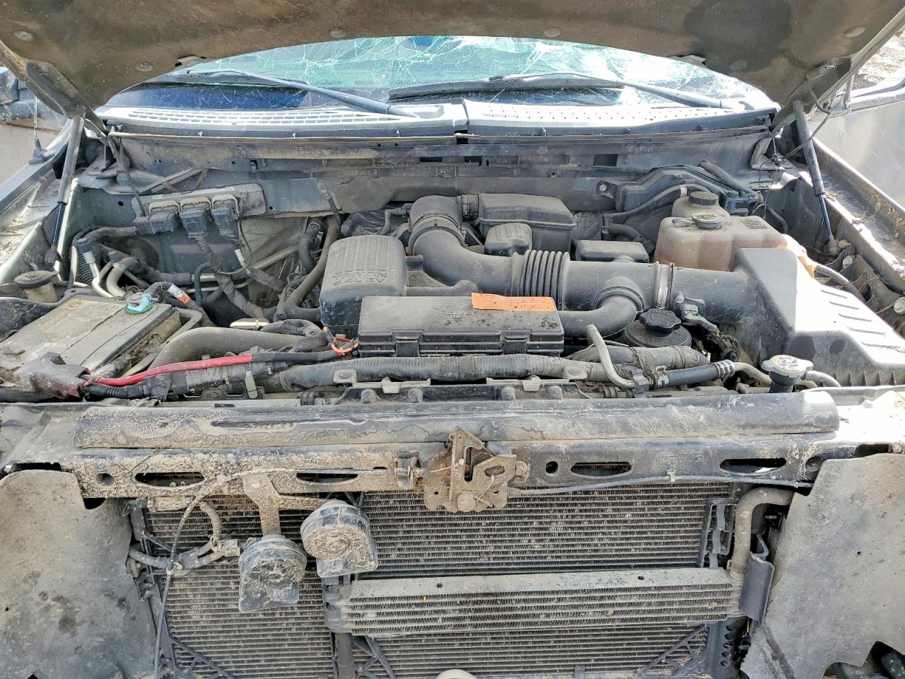 2010 FORD F150 SUPERCREW photo 21