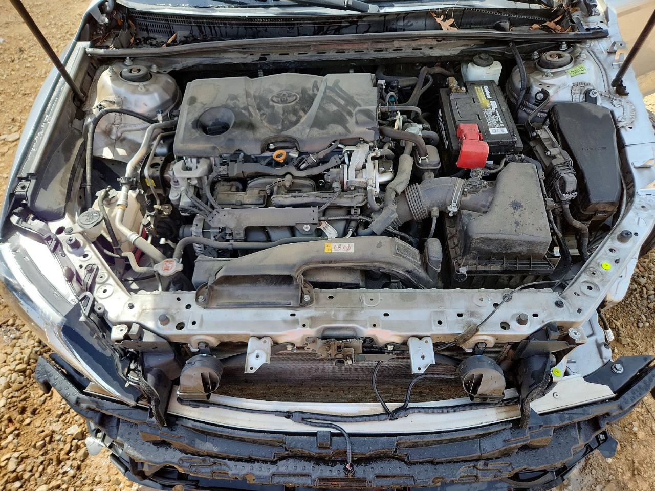 2019 TOYOTA CAMRY LE photo 11