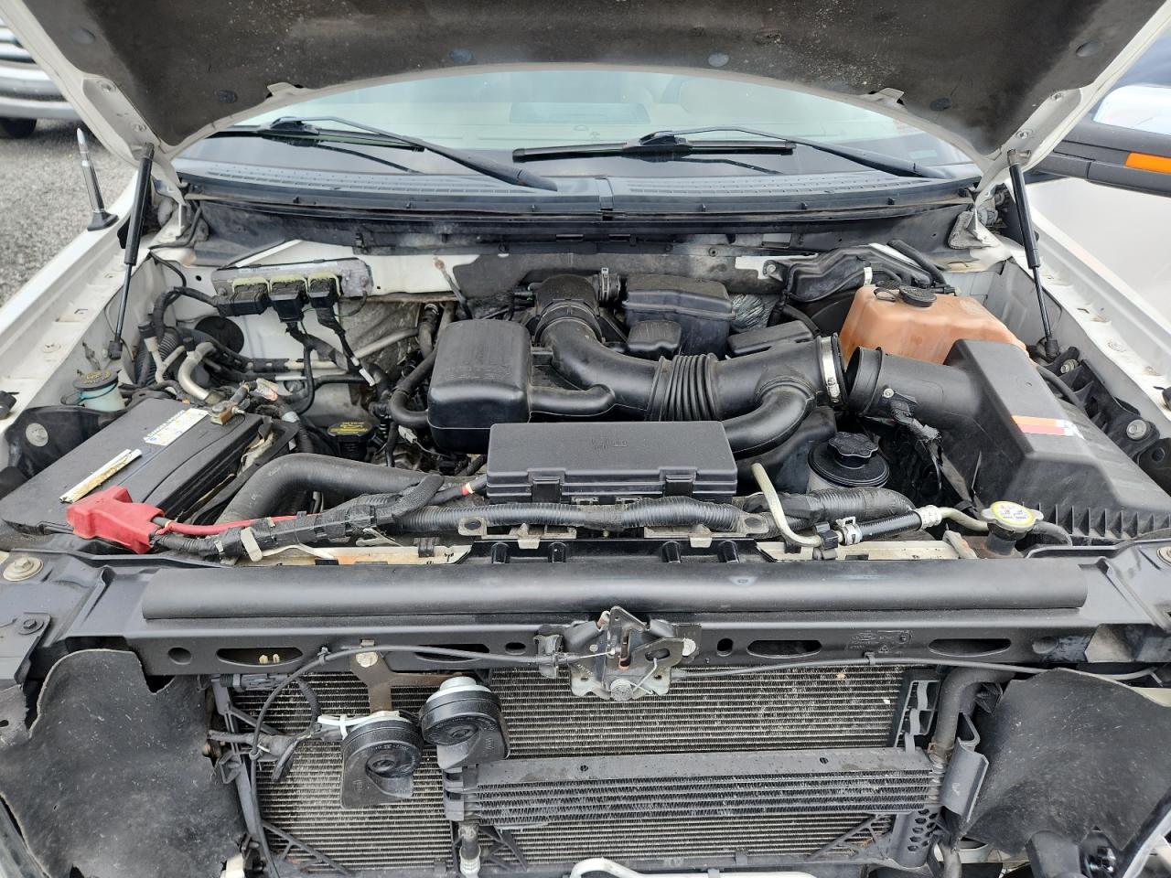 2010 FORD F150 SUPERCREW photo 11